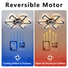 Ruibutrade Black Flower Modern Ceiling Fans with Lights, Low Profile