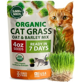 HOME GROWN Organic Cat-Grass Seed Mix (Oat & Barley) – 4 oz – Easy Indoor Planter