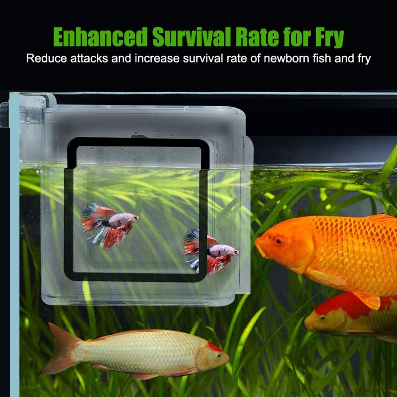 Fish Breeding Box, Acrylic Fish Isolation Box Hanging Aquarium Hatchery