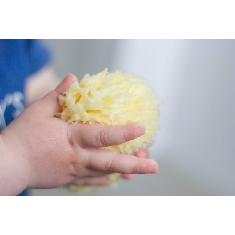 Rotho Babydesign Mediterranean Sponge, Natural Product, Diameter: 9-10 cm, Yellow
