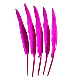 50pcs Fuchsia Feathers 10~12in,Beautiful Bulk Rose Red Long Feather for Crafts 26-31cm,Big Size Bilateral Natural Goose Feather,for Wedding Dress and Party Decoration,DIY Fabricating Handicraft Article (Rose Red)