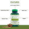 Green Organic Supplements' Lyme Disease, Teasel Root