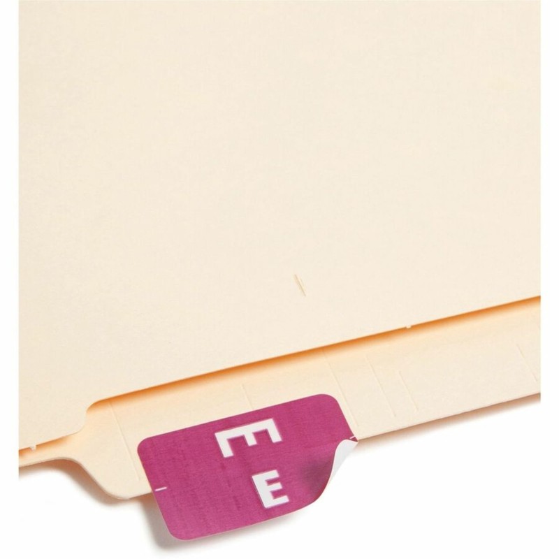 Smead AlphaZ ACCS Color-Coded Alphabetic Labels, Letter E, Purple, 100
