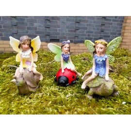 Divas World Fairy On Tortoise Snail and Ladybird Statue Enchanted Garden Decoration Outdoor Ornaments Lawn Patio Gift (Pack of 3)