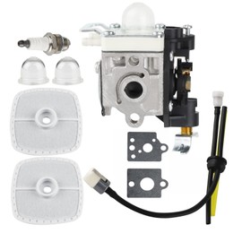 RB-K106 Carburetor with Repower Kit Air Filter Spark Plug Carb Kit Replacement for Echo ES-250 PB-250 PB-250LN A021003660 A021003661 Handheld Leaf Blower