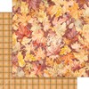 Graphic 45 Autumn Greetings Paper Pack and Patterns & Solids