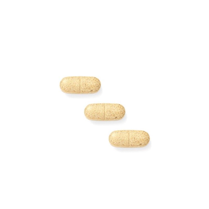 New Origin 뉴오리진 히말라야를 담은 간 건강 밀크씨슬 2개월분 New