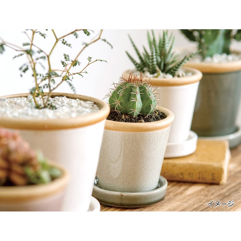 Posh Living 30731 Glossy Pot Moon Mist 4.9 x 3.9