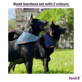 fenii - Premium Cotton Dog Bandanas - 2 Pack - Adjustable Fit - Washable - for Small, Medium & Large Breeds - Girl & Boy Dog Accessories - Multiple Sizes (Midnight Blue & Slate Blue, Large)