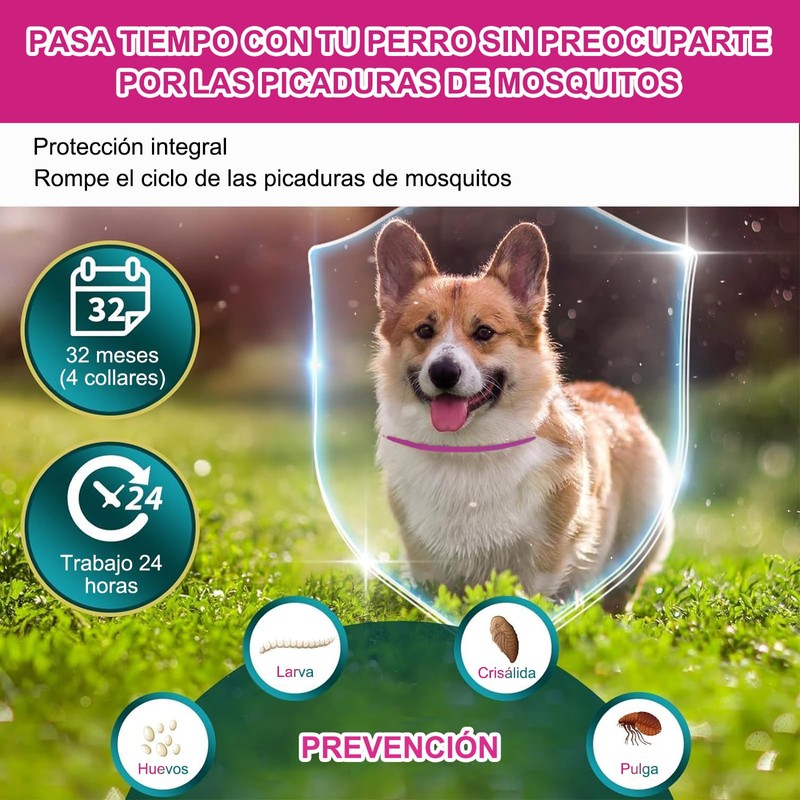 RYEWGRV 4 Pieza Collar con Hebilla, 65CM/26.6in (Rosa)