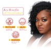 ORS HAIRestore Herbal Hair Serum, Fertilizing Serum with Nettle Leaf