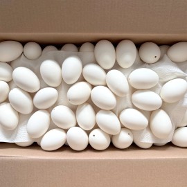 BESTPYSANKY Blown Out Hollow Real Goose Eggshell, Empty Cleaned-Out ... nky 3.25 Inches Tall