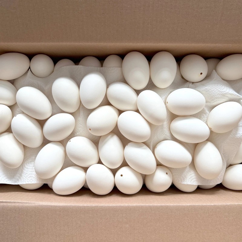 BESTPYSANKY Blown Out Hollow Real Goose Eggshell, Empty Cleaned-Out ...