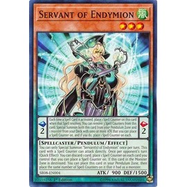 Yu-Gi-Oh! - Servant of Endymion - SR08-EN004 - Common - 1st Edition - Structure Deck: Order of The Spellcasters