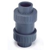 Check Valve,PVC,1-1/2",FKM,Socket