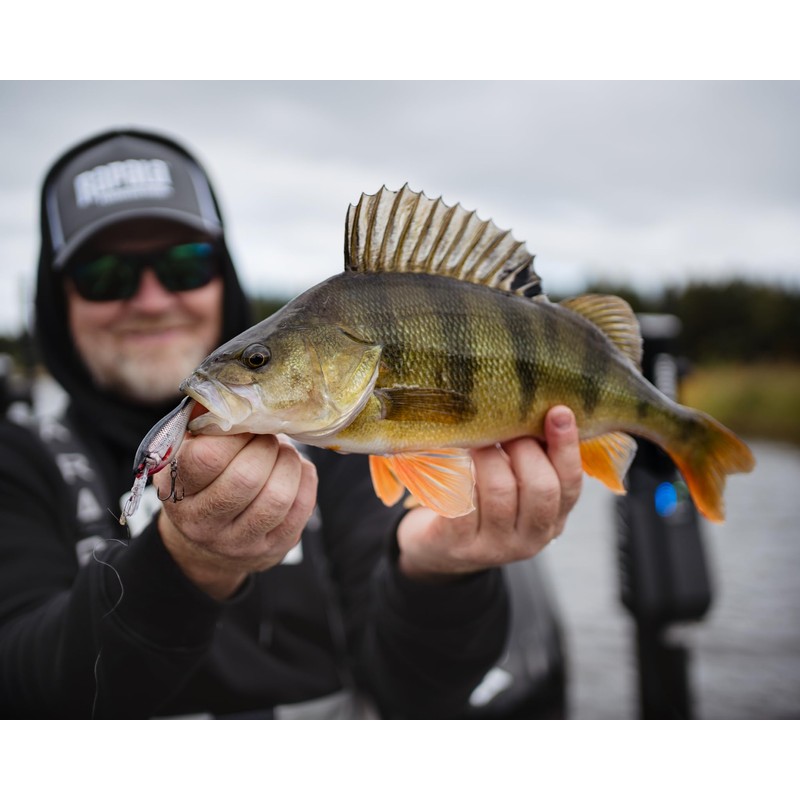 Rapala, Angelköder Shad Rap Elite, Angelausrüstung mit Balsa-Konstruktion (ohne Blei,