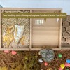 Hermit Crab Hideaway,Underground Habitat and Climbing Toy, 3D Printed Shelter