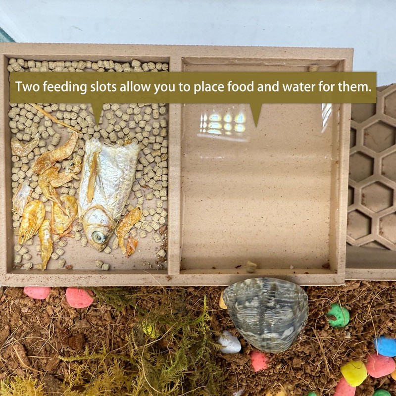 Hermit Crab Hideaway,Underground Habitat and Climbing Toy, 3D Printed Shelter