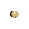 Watts LF4745-10 AquaLock Brass Series, 1/2" CTS Lead-Free Brass End