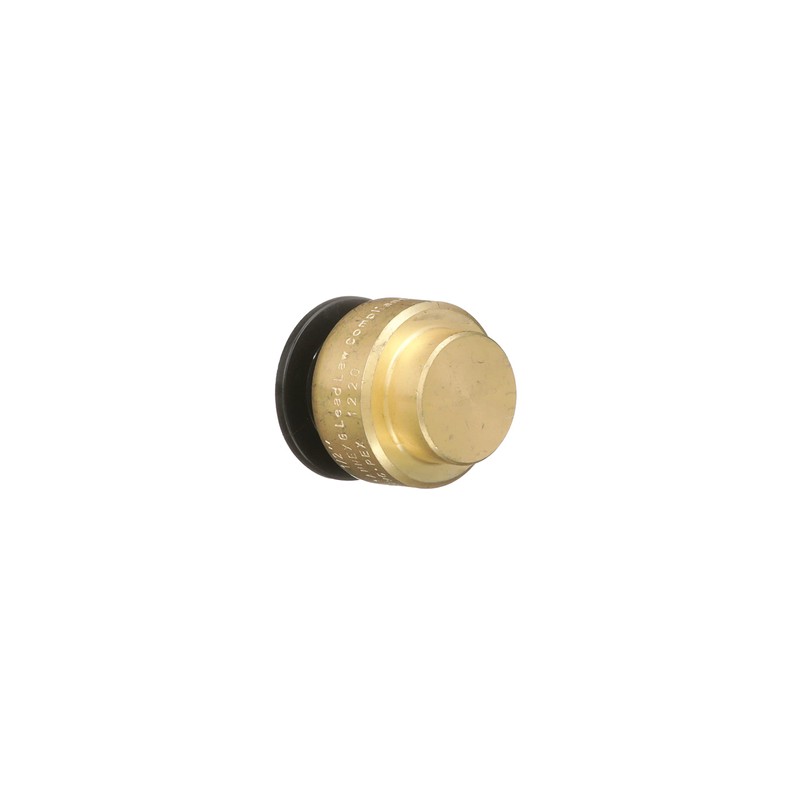 Watts LF4745-10 AquaLock Brass Series, 1/2" CTS Lead-Free Brass End