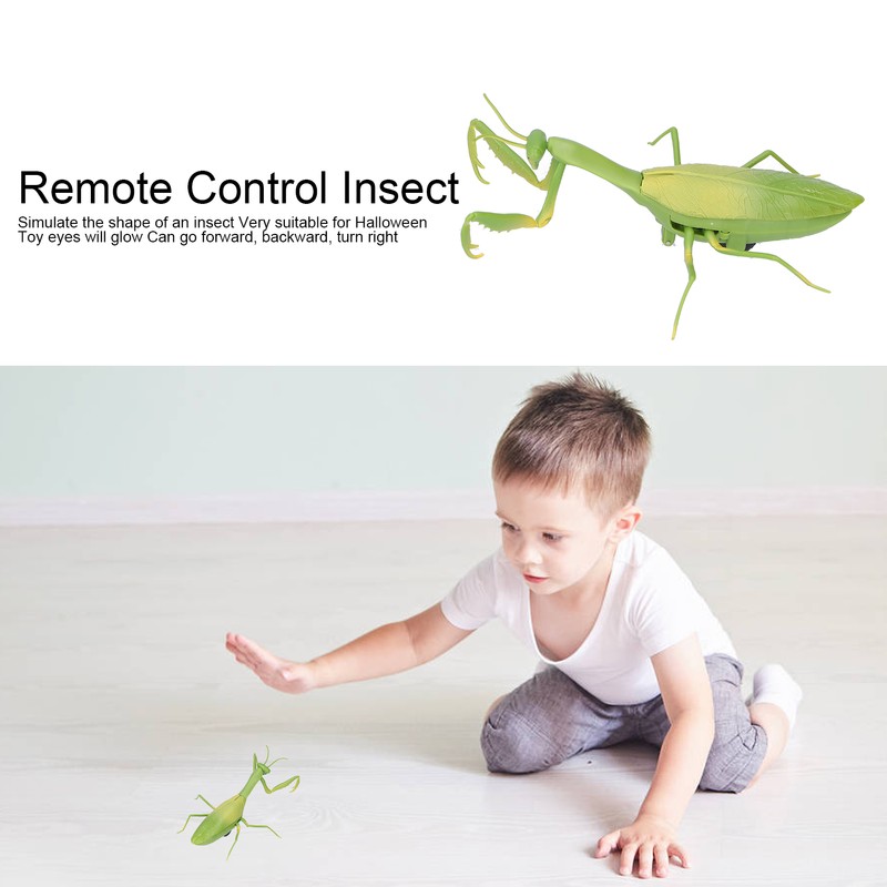 Remote Control Insects RC Animals Children Adults Trick Toys Electric