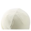 Decentron Classic Men's Warm Winter Hats Thick Knit Cuff Beanie
