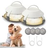 2 Set Flea Traps with 4 Catch Stickers, House Flea