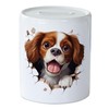 GRAZDesign Funny Dog Money Box - Wall Crack - Money