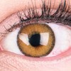 GLAMLENS Farbige Braune Kontaktlinsen Mirel Brown Stark Deckende Natürliche Silikon