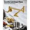 Pot Filler Faucet Brushed Gold: Solid Brass Wall Mount Heavy