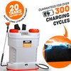 4.2 Gallon Battery-Powered Backpack Sprayer - 6 Nozzles, 80 PSI