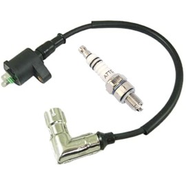 MRS TAOTAO IGNITION COIL with METAL HOUSING HEAD PLUG CAP for TAOTAO 90cc 110cc 125cc 150cc 200cc 250cc ATV QUAD DIRT BIKE GO-KART + SPARK PLUG