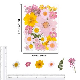 30Pcs Dried Pressed Flowers Bulk Dried Flowers for Crafts, Dry Flowers for Resin Molds DIY Scrapbooking Candle Jewellery Making (Pink)