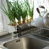 KitchenCraft Plastic Cutlery Drainer Caddy, Grey, 16 x 8 x