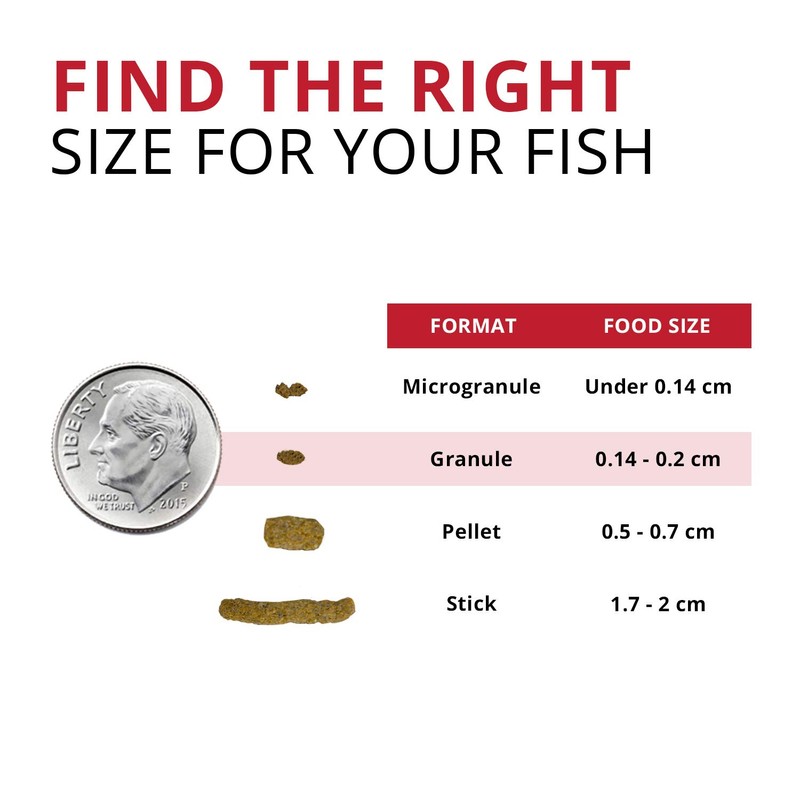 Fluval Bug Bites Cichlid Fish Food, Granules for Small to