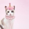 RUKUHOT RUKUHOT Birthday Hat Scarf Set for Pet Puppy Cat,