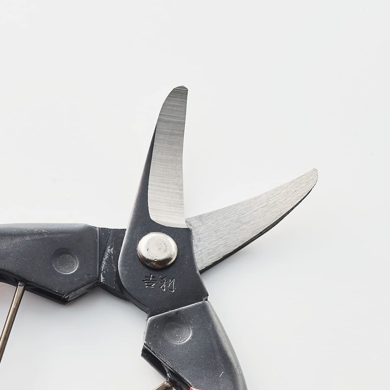Yoshiri Fruit Shears, Made in Japan, Made in Sanjo, Niigata