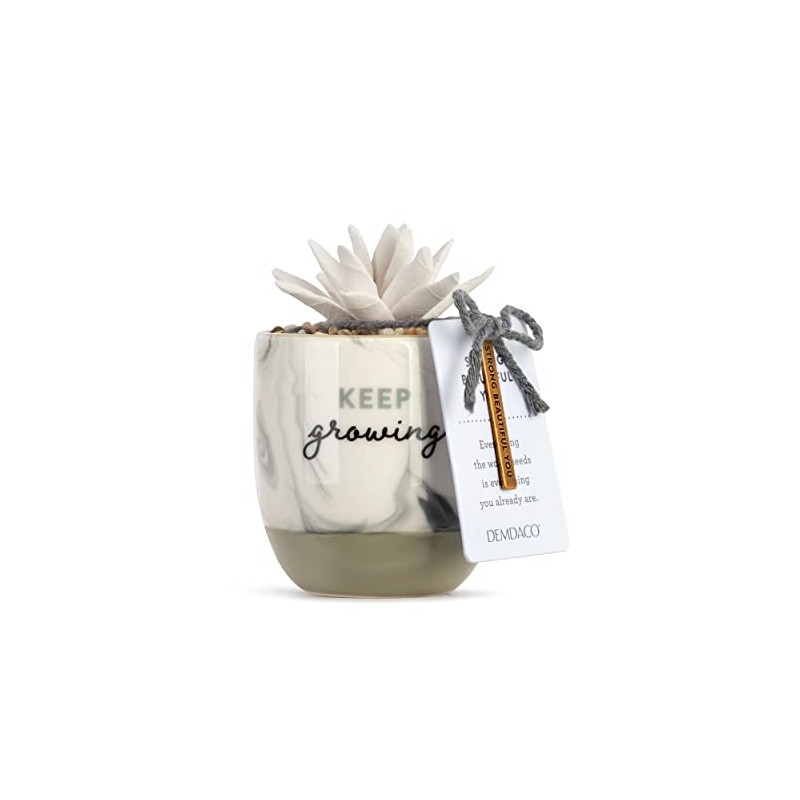 Demdaco Keep Growing Succulent Marbled Grey 4.5 x 3 Ceramic