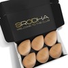 SRODHA Beauty Make Up Sponges Set | 6 Piece Pack