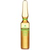 ENDOCARE TENSAGE AMPOLLETAS CON 10 DE 2 ML