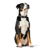 HUNTER Softie Stone Art-Nubuk Nickel Collar, 45/32 x 39 cm,