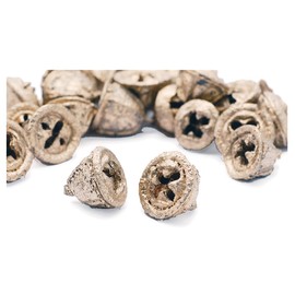 Earth Farms Dry Flower Eucalyptus with Berries (50g) do024800 – 932 