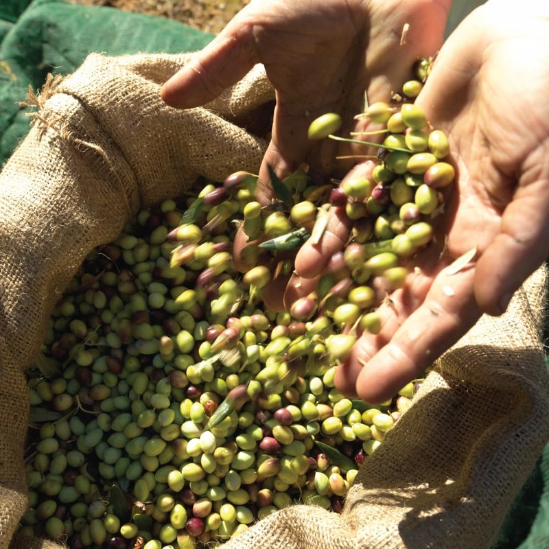 Iliada Kalamata PDO Extra Virgin Olive Oil, 750ml | Multi-Awarded