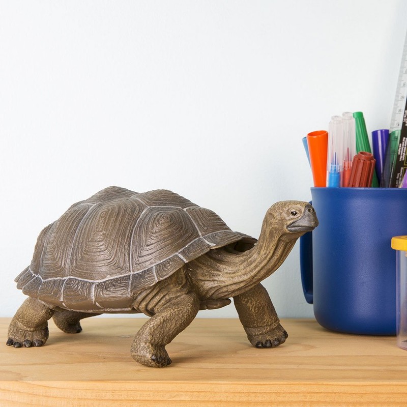 Safari Ltd. Tortoise Figurine - Detailed 8.5" Plastic Model Figure