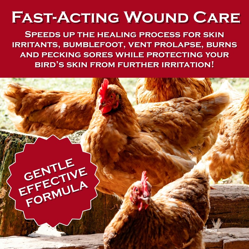 Chicken's Choice Wound Care for Chickens & Birds. Advanced Wound