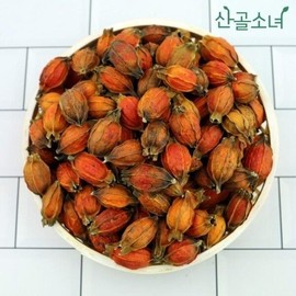 산골소녀 국내산 치자 600g Mountain Girl Domestic Dried Gardenia 600g
