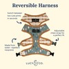 Lucy & Co. Cute Reversible Dog Harness Walking Halter -