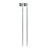 LEKI Unisex Adult Leki Ski Pole, Multicoloured, 160 EU