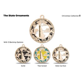 USA 3D State Shape Ornaments - Handcrafted American Made Home Decor Gifts, Unique Travel Souvenirs, State Pride Decor, Gift for Travelers (Delaware)