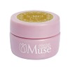 PREGEL Muse PGU-S382 Color Gel Yellow Ochre, 0.1 oz (3